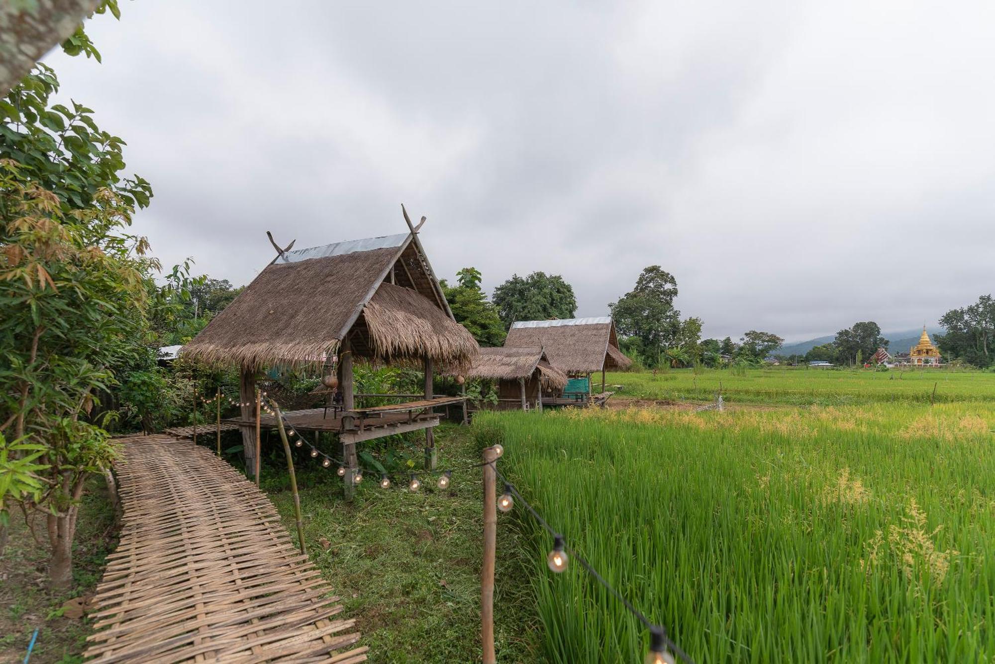 Paddy Fields Haven - Natures Nest Pai Exterior foto