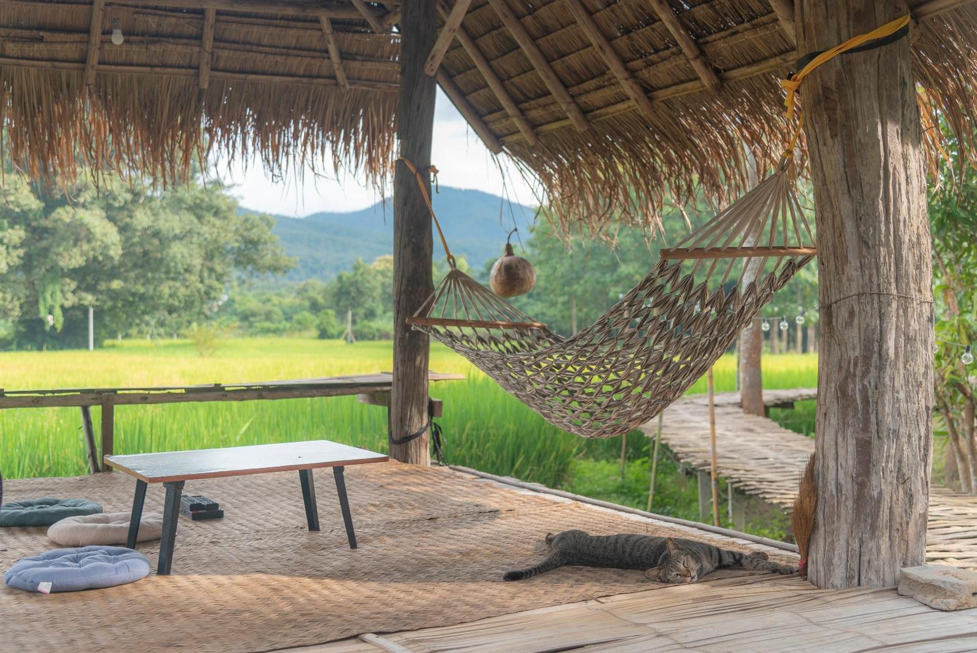 Paddy Fields Haven - Natures Nest Pai Exterior foto